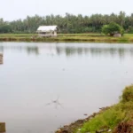 Lokasi Fosil Gajah Purba Tangerang