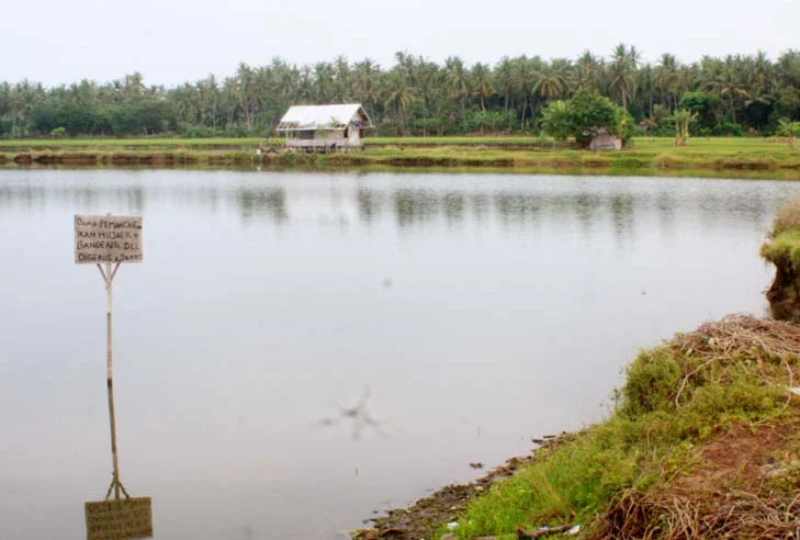 Lokasi Fosil Gajah Purba Tangerang